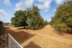 Balcony View- click for photo gallery